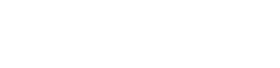 webviewx logo white
