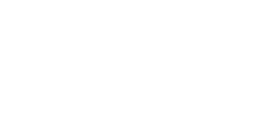 widget world logo white