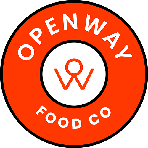 OpenWay Logo