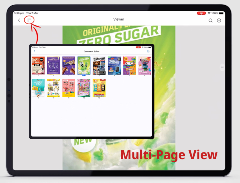 Multi-page-view-01